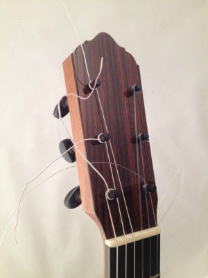 Lester Devoe 2009 - Guitar 1 - Photo 12