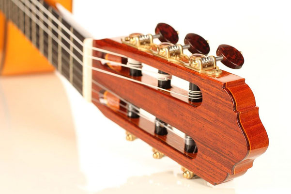 Lester Devoe 2014 - Guitar 3 - Photo 12