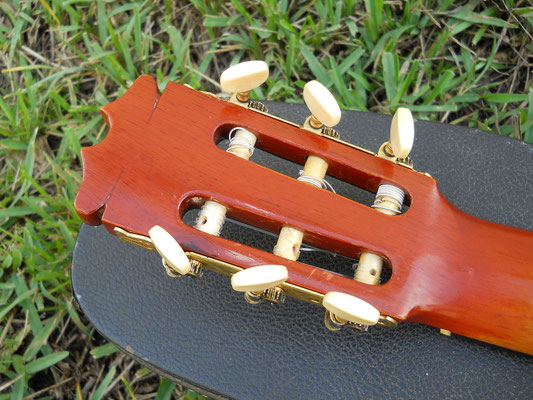 Sobrinos de Domingo Esteso 1974 - Guitar 4 - Photo 30