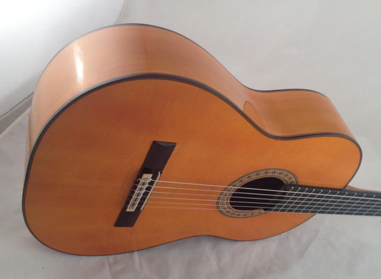 Manuel Reyes Hijo 2016 - Guitar 1 - Photo 8