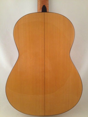 Lester Devoe 2009 - Guitar 1 - Photo 8