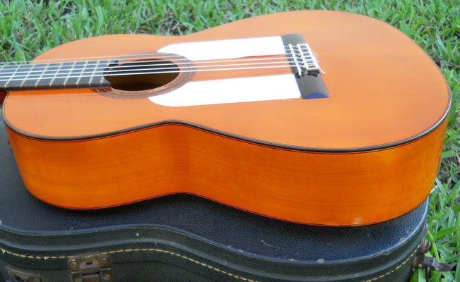 Sobrinos de Domingo Esteso 1974 - Guitar 4 - Photo 39