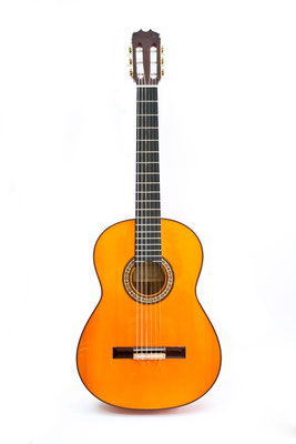 Hermanos Conde 2012 - Guitar 2 - Photo 2