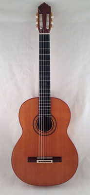 Gerundino Fernandez Hijo 2017 - Guitar 1 - Photo 16
