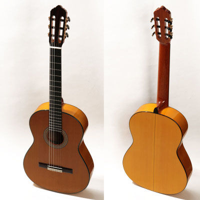Lester Devoe 2015 - Guitar 4 - Photo 8