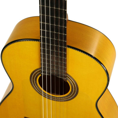Lester Devoe 2015 -  Guitar 3 - Photo 3