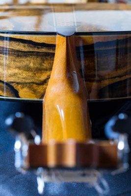Francisco Barba 2014 - Guitar 1 - Photo 19