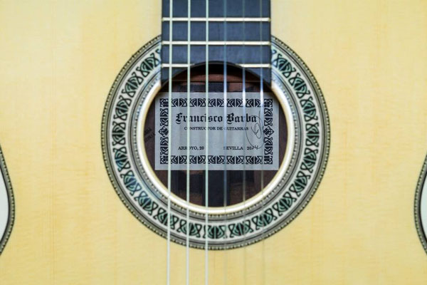 Francisco Barba 2014 - Guitar 1 - Photo 14