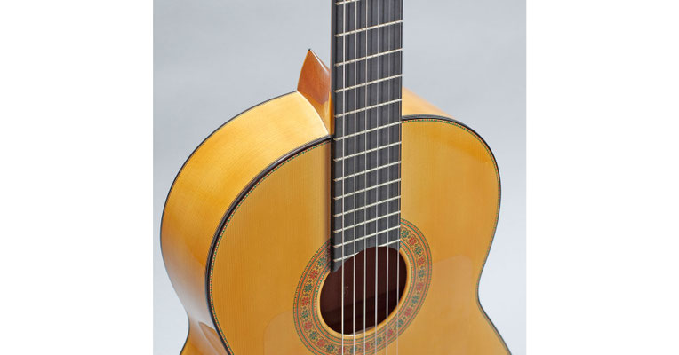 Francisco Barba 2011 - Guitar 1 - Photo 6