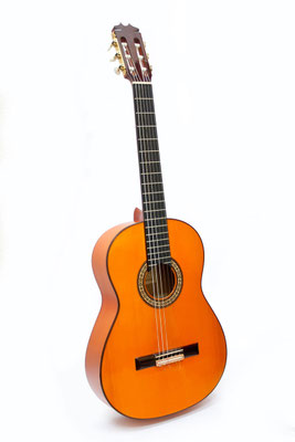 Hermanos Conde 2012 - Guitar 2 - Photo 4