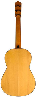 Lester Devoe 2004  - Guitar 1 - Photo 1