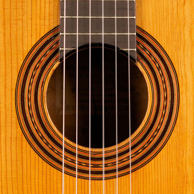 Antonio de Torres 1890 - Guitar 1 - Photo 1