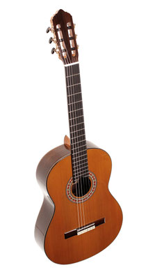 Lester Devoe 2011 - Guitar 3 - Photo 7