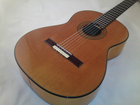 Lester Devoe 2012 - Guitar 3 - Photo 3