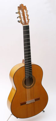 Francisco Barba 1991 - Guitar 1 - Photo 2