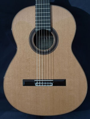 Antonio Marin Montero 2011 - Guitar 5 - Photo 6