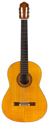 Marcelo Barbero Hijo 1962 - Guitar 1 - Photo 6