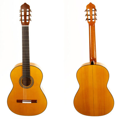 Lester Devoe 2018 - Guitar 1 - Photo 10