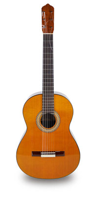 Lester Devoe 2017 - Guitar 1 - Photo 9