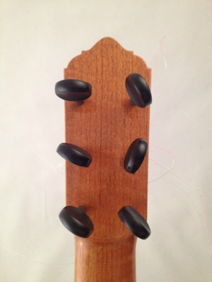 Lester Devoe 2009 - Guitar 1 - Photo 13