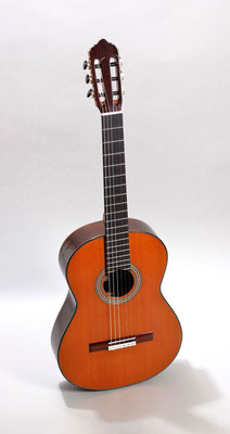 Lester Devoe 2012 - Guitar 1 - Photo 7