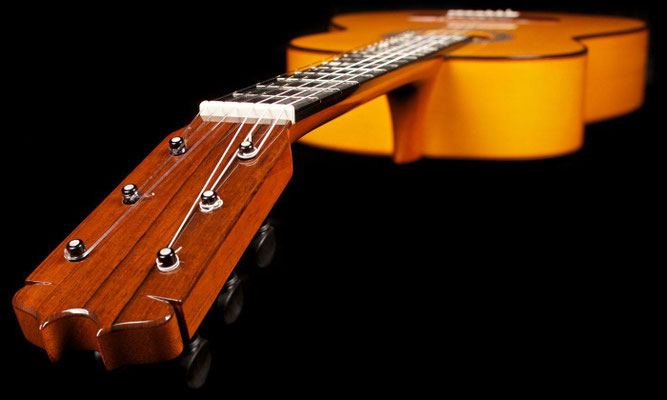 Felipe Conde 2014 - Guitar 6 - Photo 11