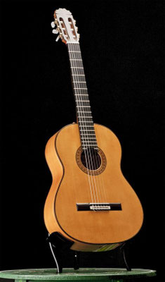 Manuel Reyes Hijo 2010 - Guitar 2 - Photo 7