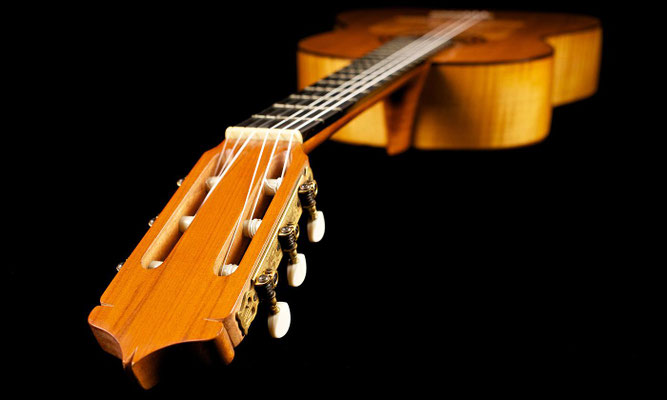 Viuda de Santos Hernandez 1950 - Guitar 2 - Photo 8