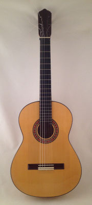 Lester Devoe 2009 - Guitar 1 - Photo 15