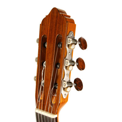Lester Devoe 2018 - Guitar 1 - Photo 8