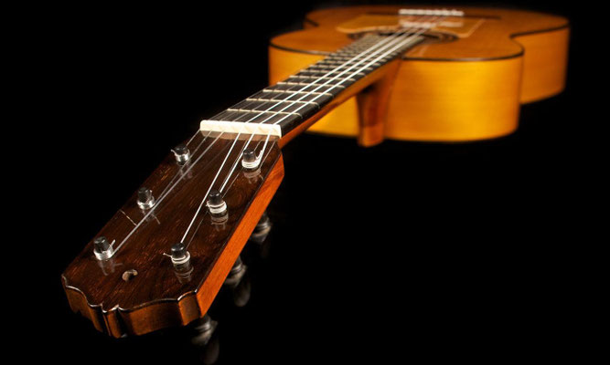 Domingo Esteso 1920 - Guitar 1 - Photo 9
