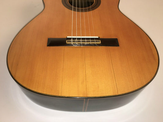 Santos Hernandez 1926 - Guitar 1 - Photo 11