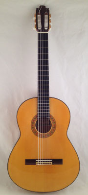Francisco Barba 2013 - Guitar 1 - Photo 16