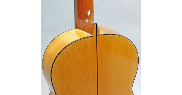 Francisco Barba 2011 - Guitar 1 - Photo 1