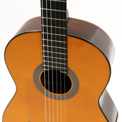 Lester Devoe 2016 - Guitar 2 - Photo 2