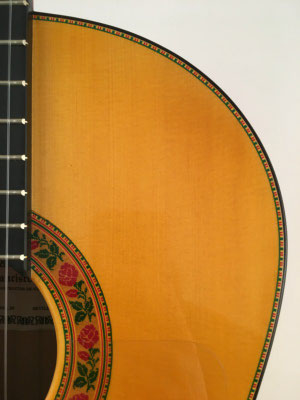 Francisco Barba 2016 - Guitar 1 - Photo 22