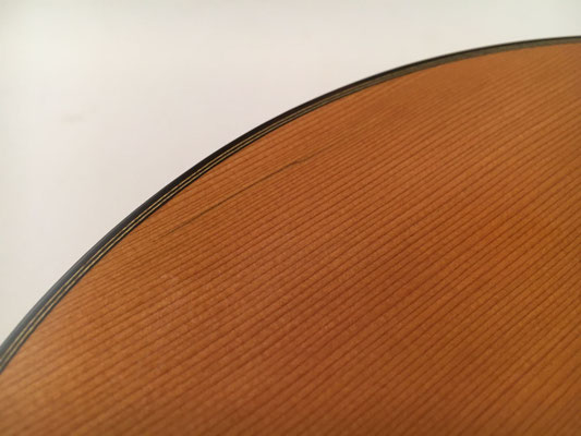 Miguel Rodriguez 1976 - Guitar 1 - Photo 9