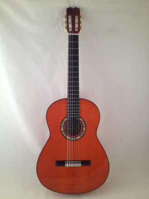 Felipe Conde 2013 - Guitar 6 - Photo 16
