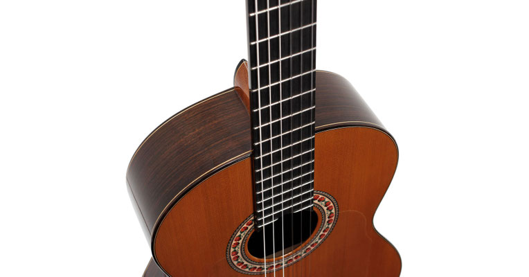 Lester Devoe 2011 - Guitar 3 - Photo 6