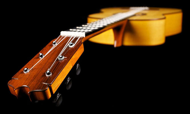 Felipe Conde 2014 - Guitar 5 - Photo 11