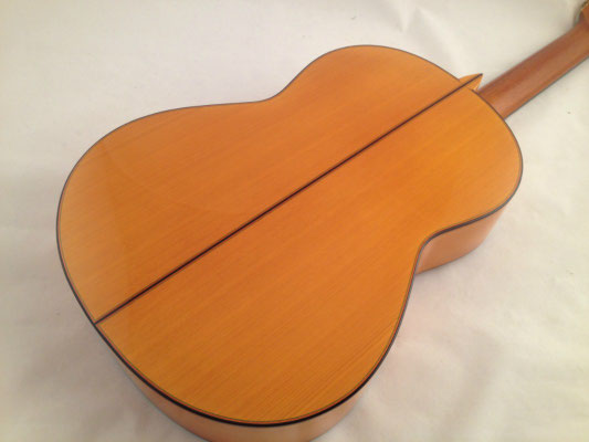 Francisco Barba 2015 - Guitar 1 - Photo 9