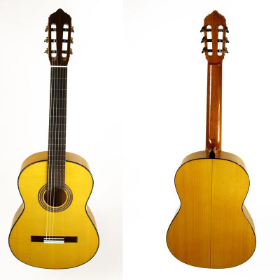 Lester Devoe 2015 -  Guitar 3 - Photo 6