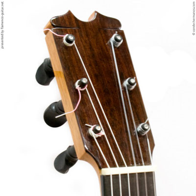 HERMANOS CONDE - SOBRINOS DE ESTESO 2013 - HEADSTOCK - KOPF - CABEZA 