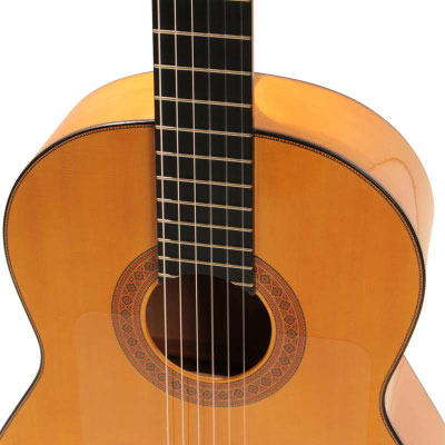 Francisco Barba 2017 - Guitar 3 - Photo 9