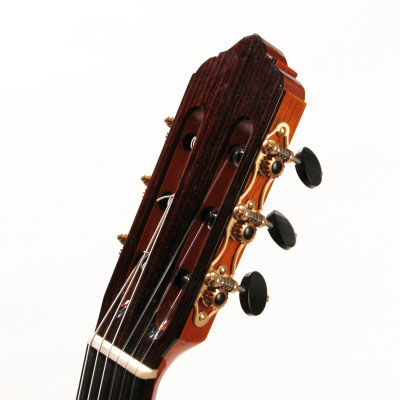 Lester Devoe 2016 - Guitar 2 - Photo 5