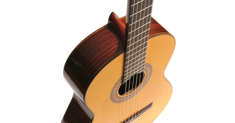 Lester Devoe 2014 - Guitar 1 - Photo 8
