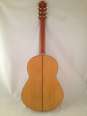 Francisco Barba 2013 - Guitar 2 - Photo 8