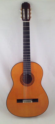 Manuel Reyes 1996 - Guitar 1 - Photo 19