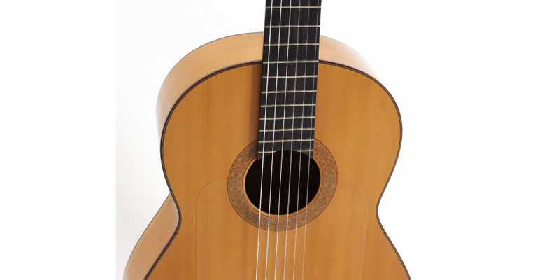 Francisco Barba 1970 - Guitar 1 - Photo 8
