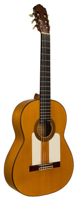 Marcelo Barbero Hijo 1969 - Guitar 1 - Photo 3